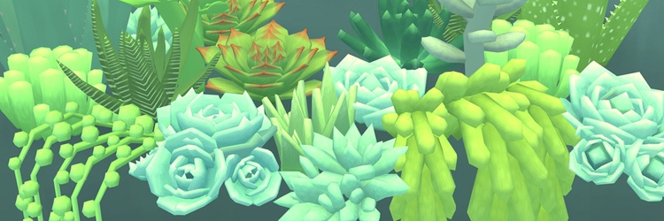 Succulents in light green