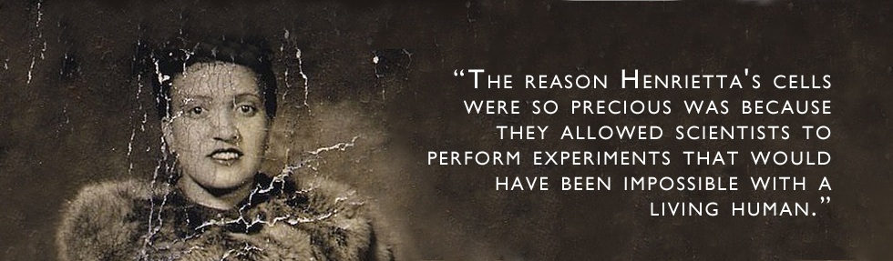 Henrietta Quote