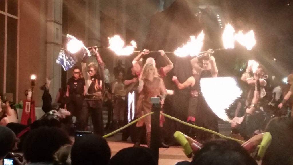 One of many blurry pictures I took during the show.