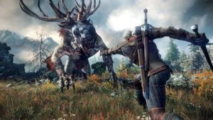 The Witcher Fighting