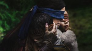 Bird Box Cover