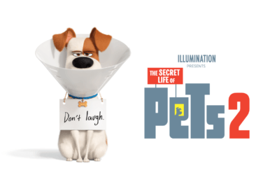 Pets 2 Cover