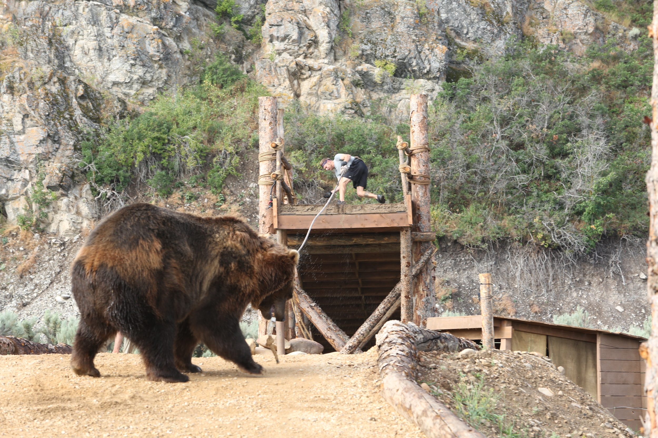 Man Vs Bear