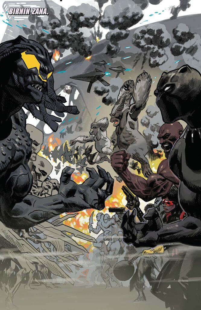Black Panther #25
