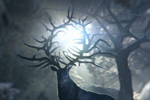Shadow and Bone