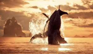 Whale Avatar